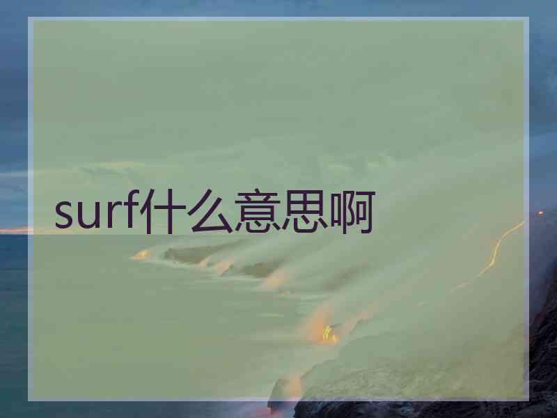 surf什么意思啊