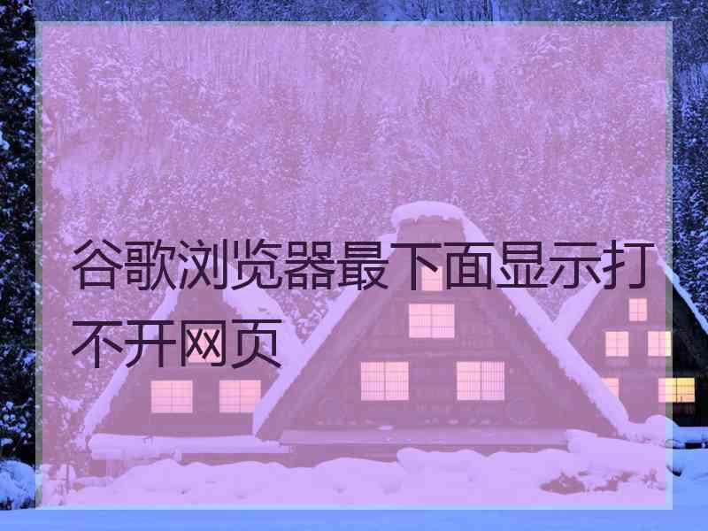 谷歌浏览器最下面显示打不开网页