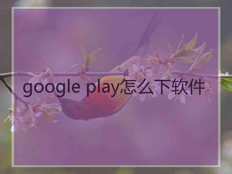 google play怎么下软件