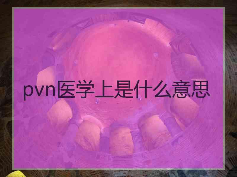 pvn医学上是什么意思