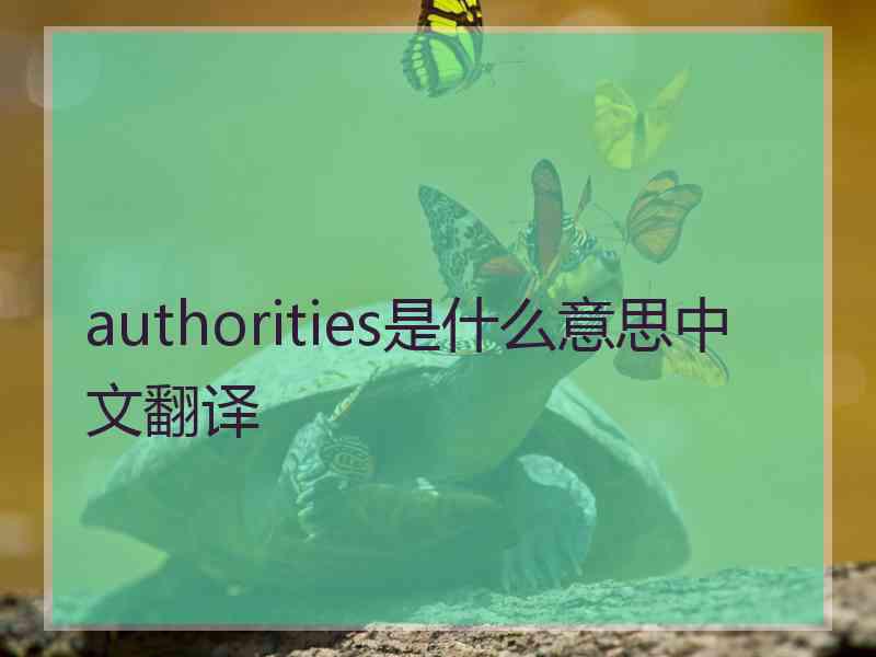 authorities是什么意思中文翻译