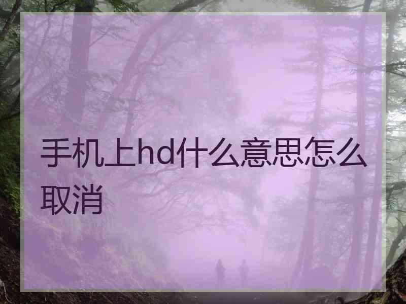 手机上hd什么意思怎么取消