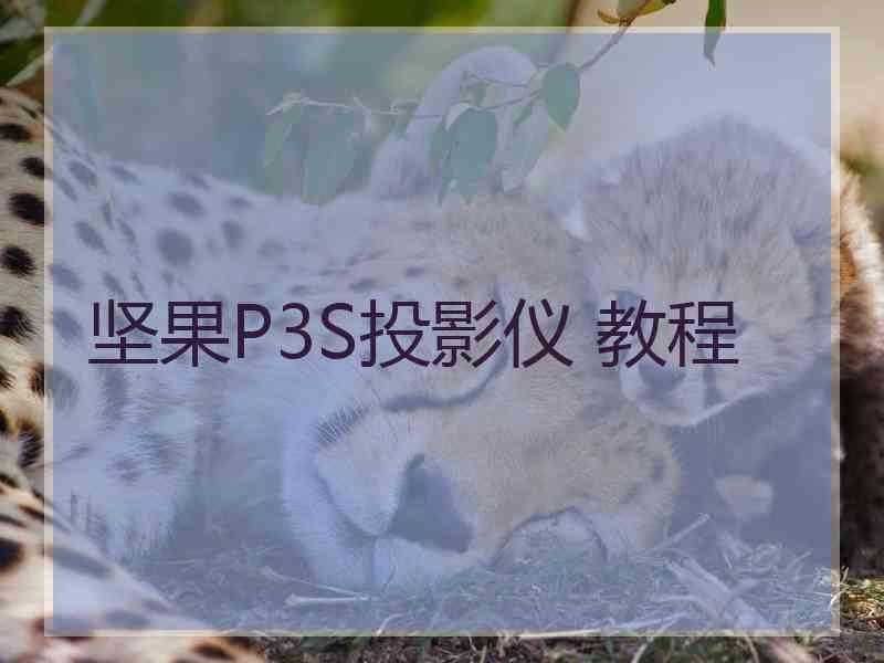 坚果P3S投影仪 教程