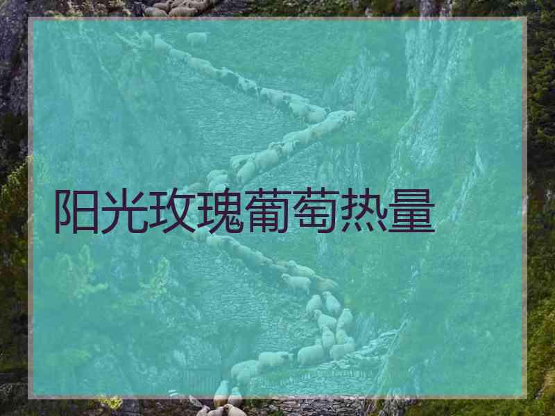 阳光玫瑰葡萄热量