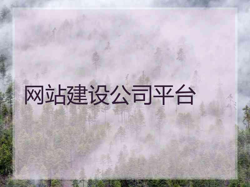 网站建设公司平台