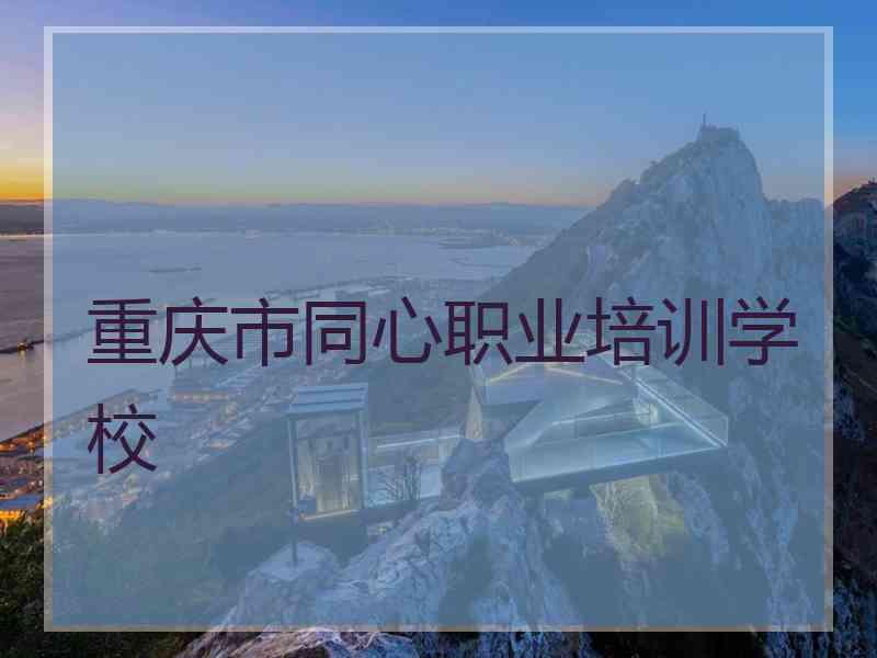 重庆市同心职业培训学校