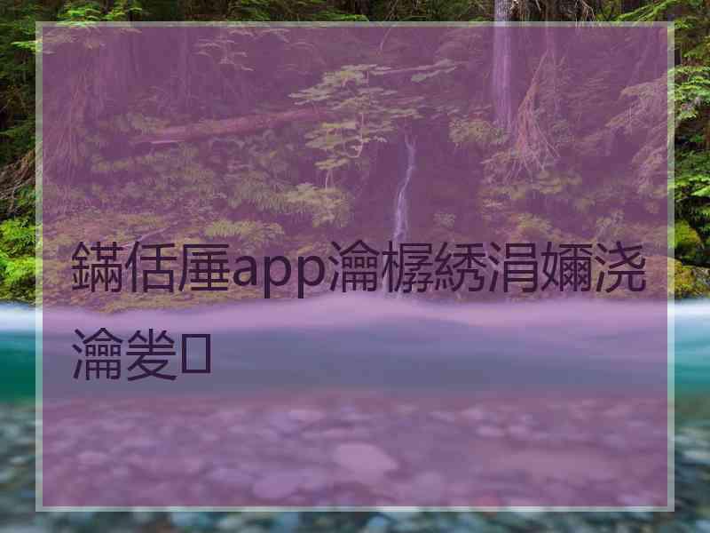 鏋佸厜app瀹樼綉涓嬭浇瀹夎