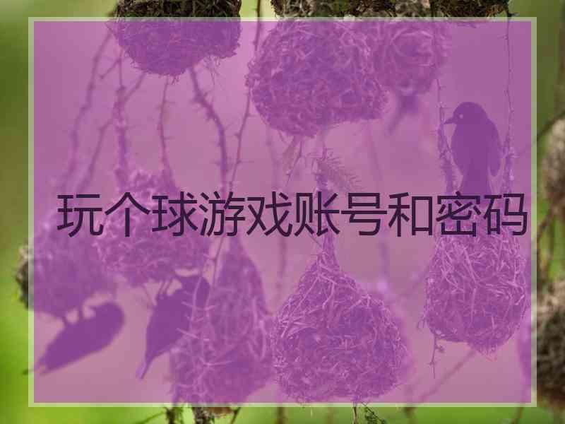 玩个球游戏账号和密码