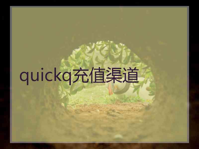 quickq充值渠道