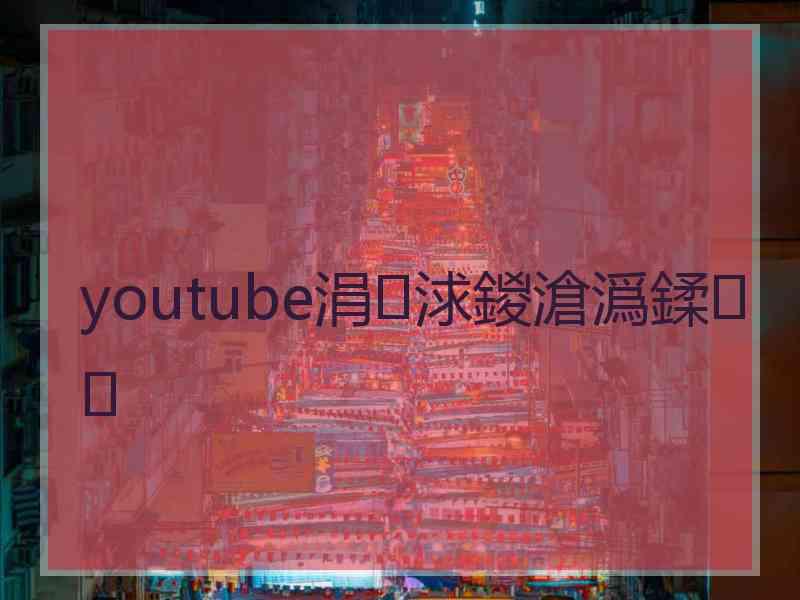 youtube涓浗鍐滄潙鍒