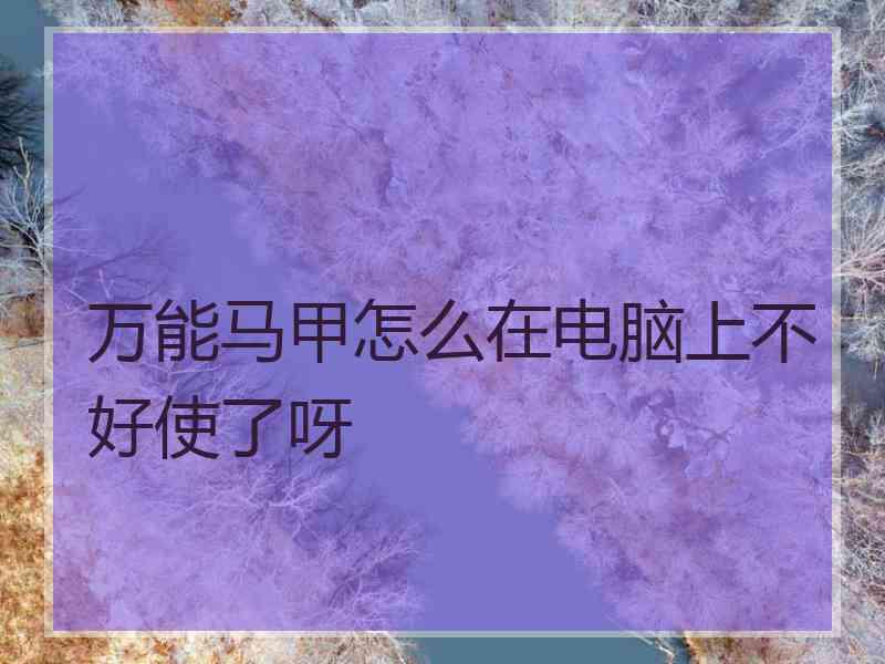 万能马甲怎么在电脑上不好使了呀