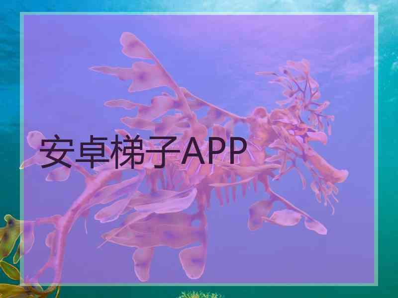 安卓梯子APP