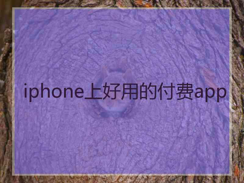 iphone上好用的付费app