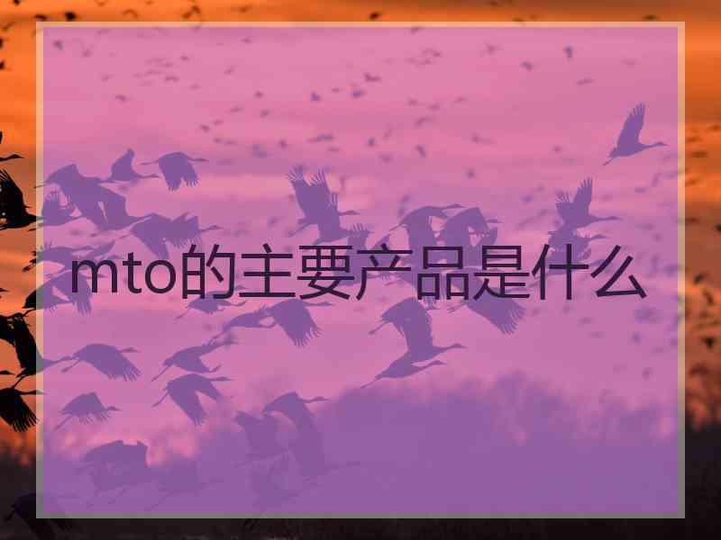 mto的主要产品是什么