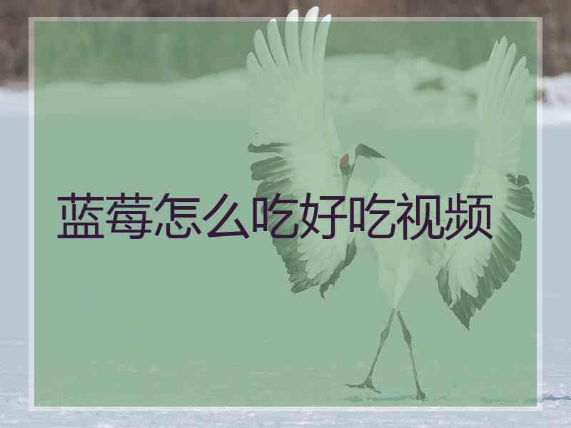 蓝莓怎么吃好吃视频