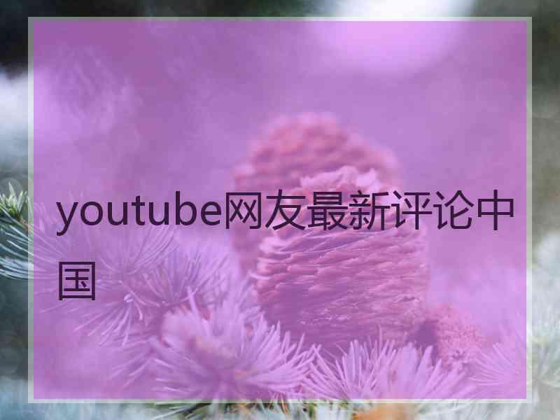 youtube网友最新评论中国