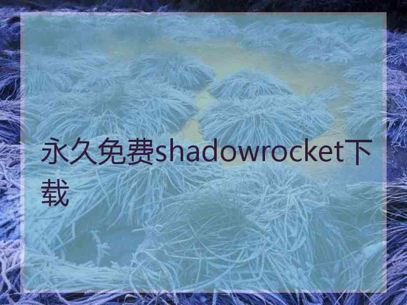 永久免费shadowrocket下载