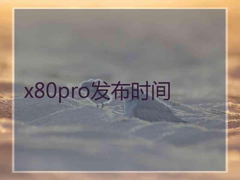 x80pro发布时间