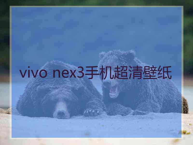 vivo nex3手机超清壁纸