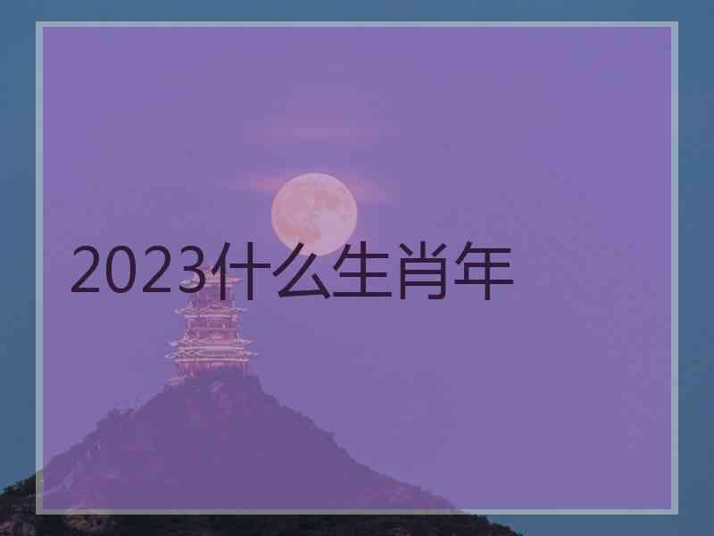 2023什么生肖年