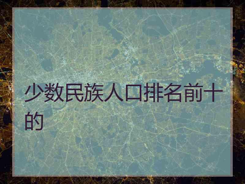 少数民族人口排名前十的