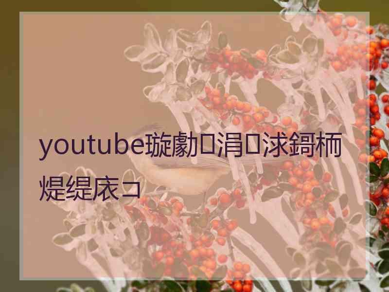 youtube璇勮涓浗鎶栭煶缇庡コ