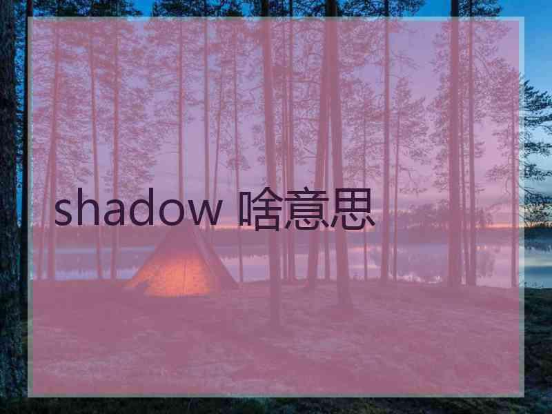 shadow 啥意思