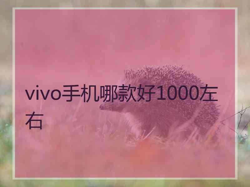 vivo手机哪款好1000左右