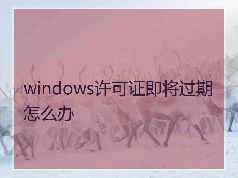 windows许可证即将过期怎么办