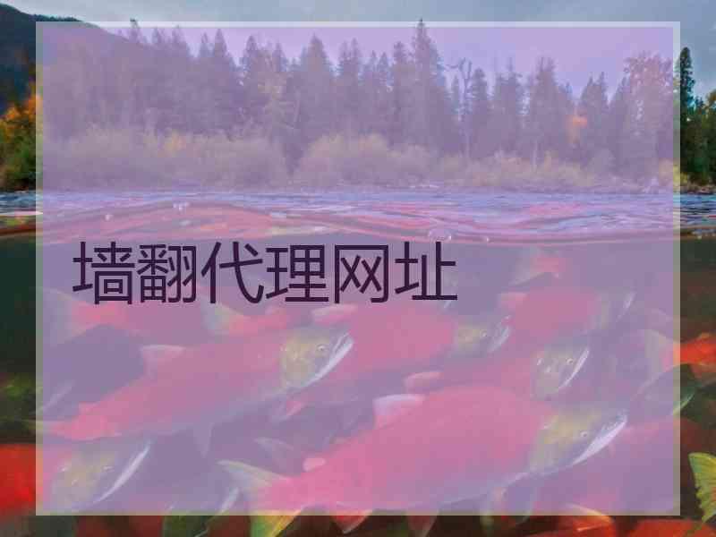 墙翻代理网址