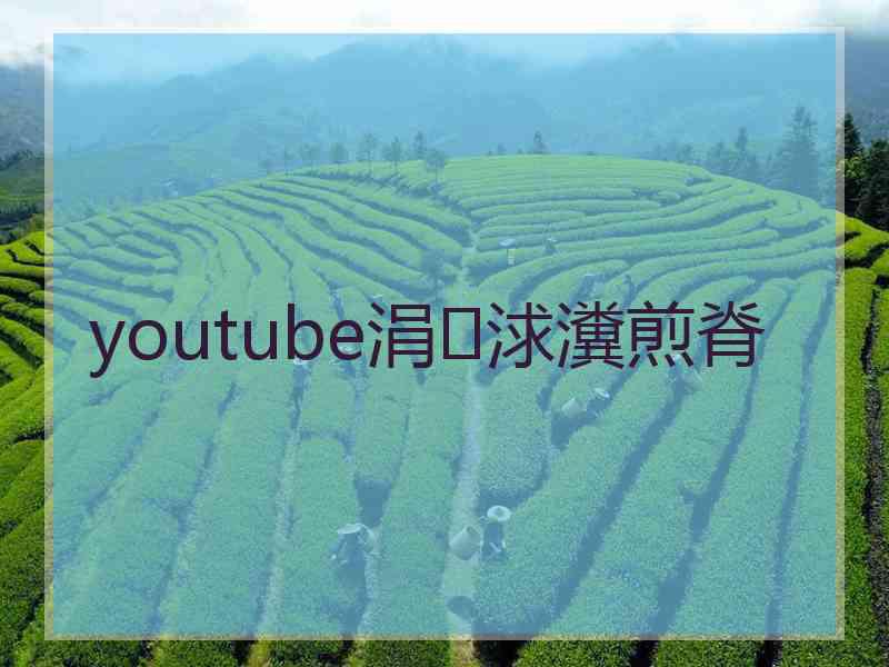 youtube涓浗瀵煎脊