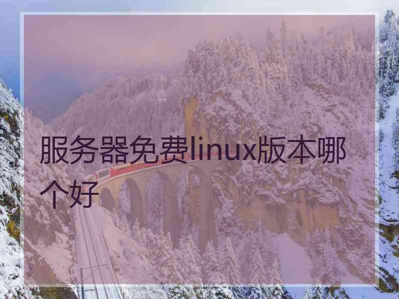 服务器免费linux版本哪个好