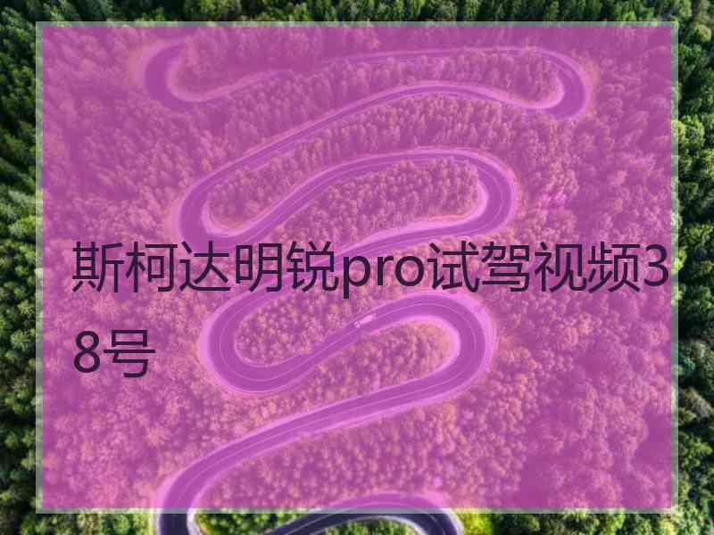 斯柯达明锐pro试驾视频38号