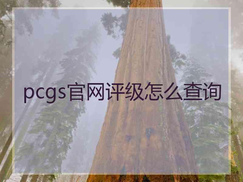 pcgs官网评级怎么查询