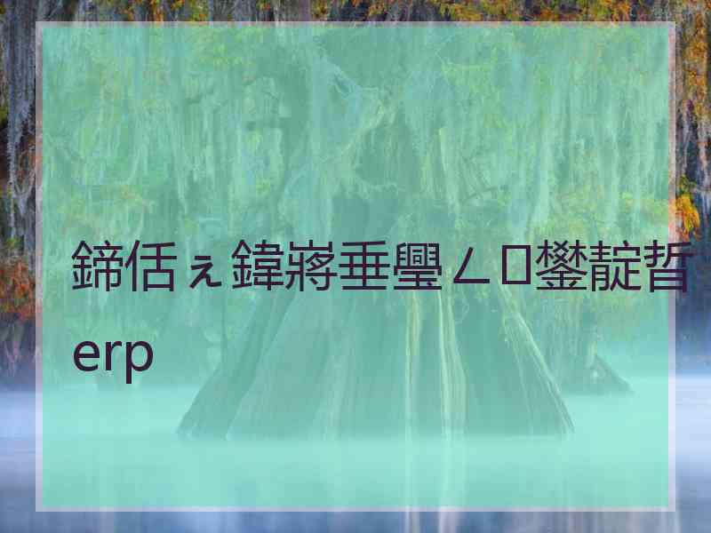 鍗佸ぇ鍏嶈垂璺ㄥ鐢靛晢erp