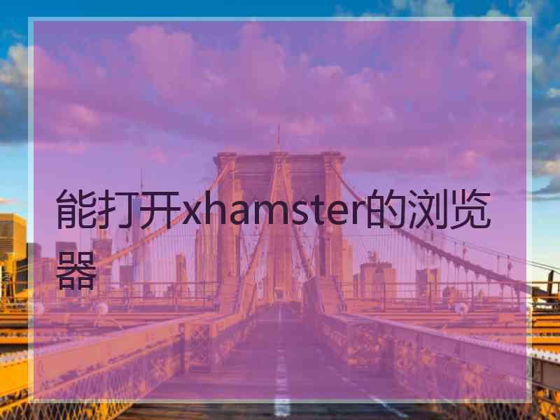 能打开xhamster的浏览器