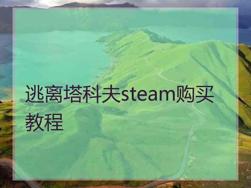 逃离塔科夫steam购买教程