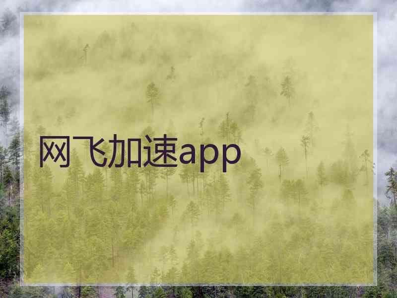 网飞加速app