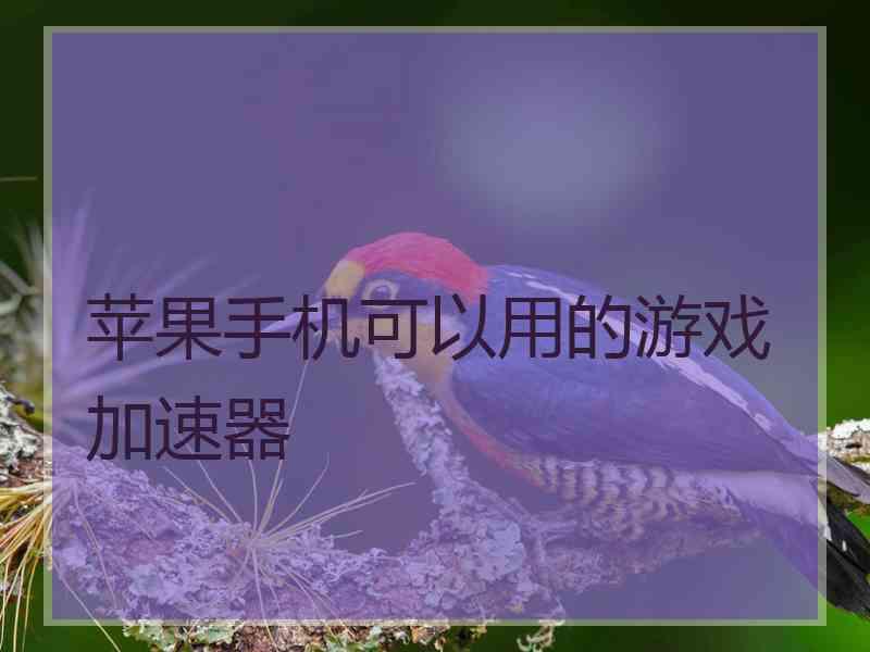 苹果手机可以用的游戏加速器