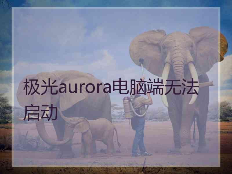 极光aurora电脑端无法启动