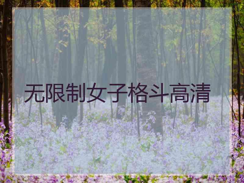 无限制女子格斗高清