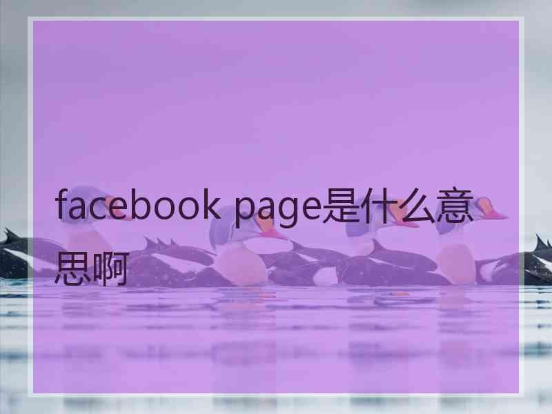 facebook page是什么意思啊