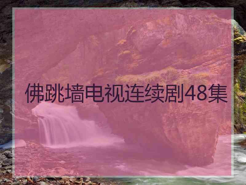 佛跳墙电视连续剧48集