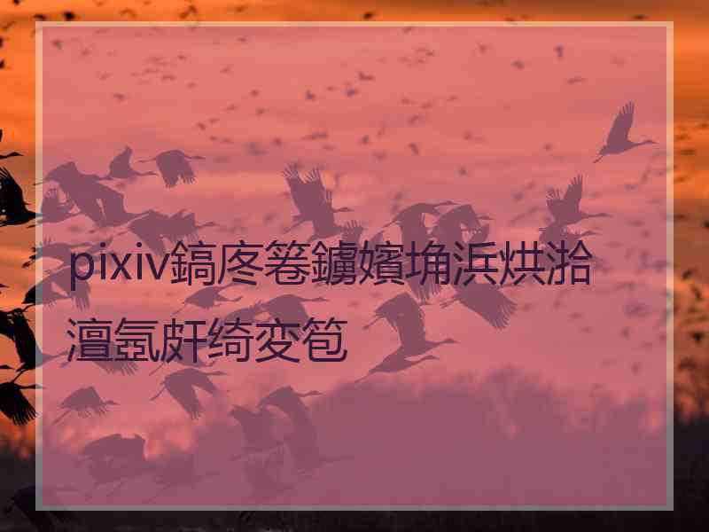 pixiv鎬庝箞鐪嬪埆浜烘湁澶氬皯绮変笣