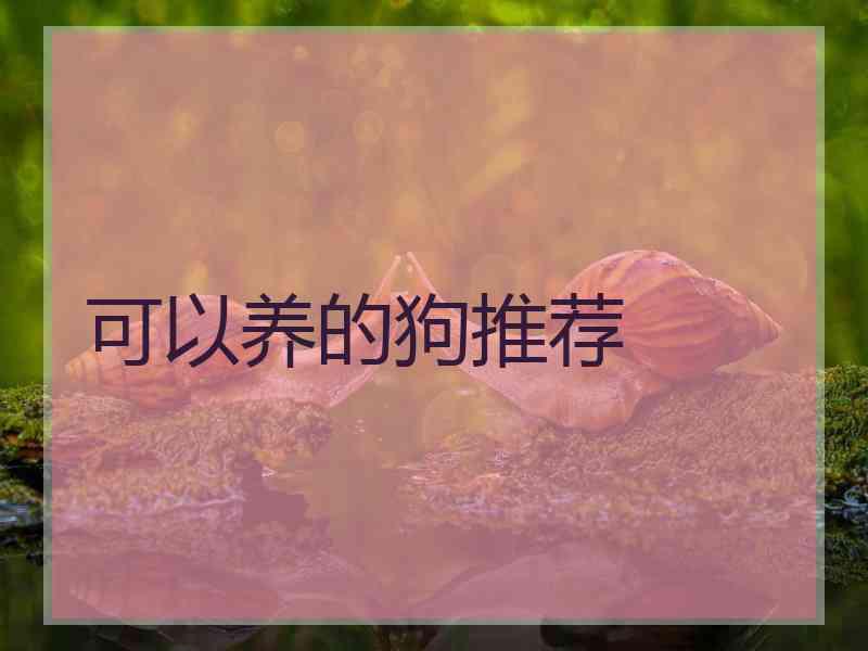 可以养的狗推荐