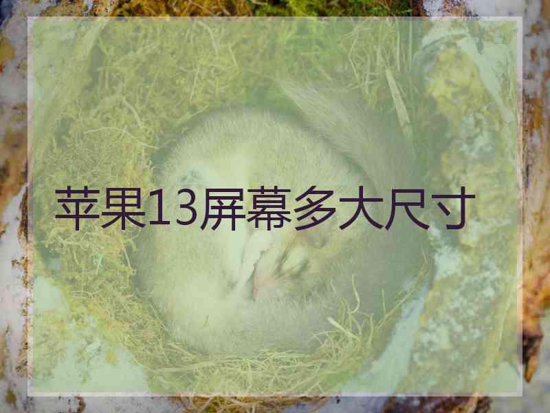 苹果13屏幕多大尺寸