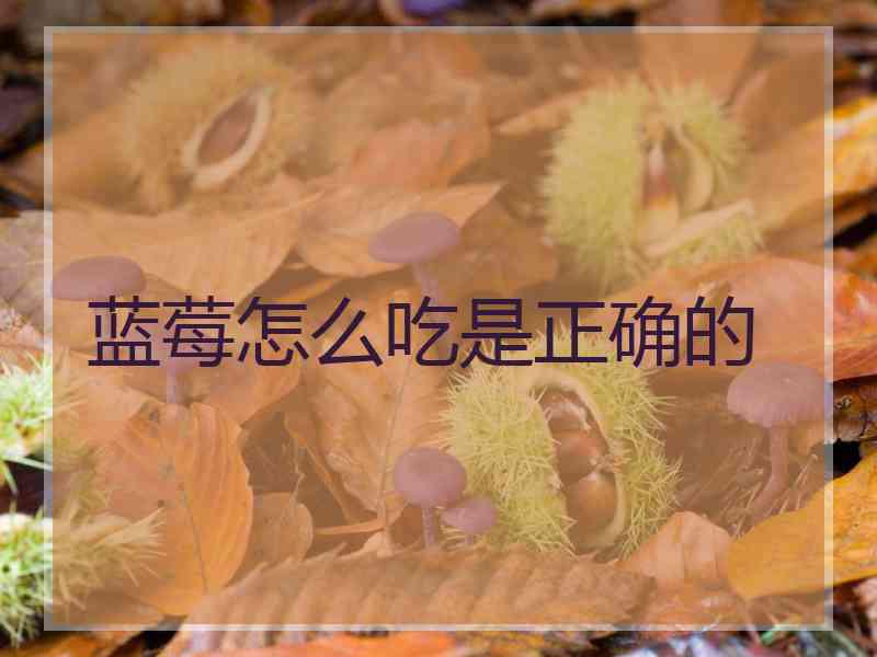 蓝莓怎么吃是正确的