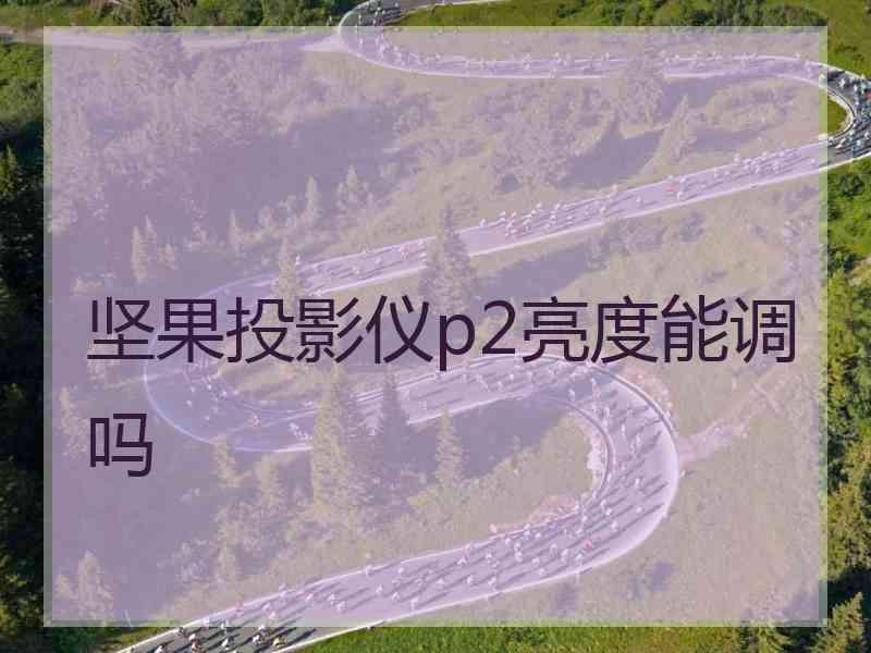 坚果投影仪p2亮度能调吗