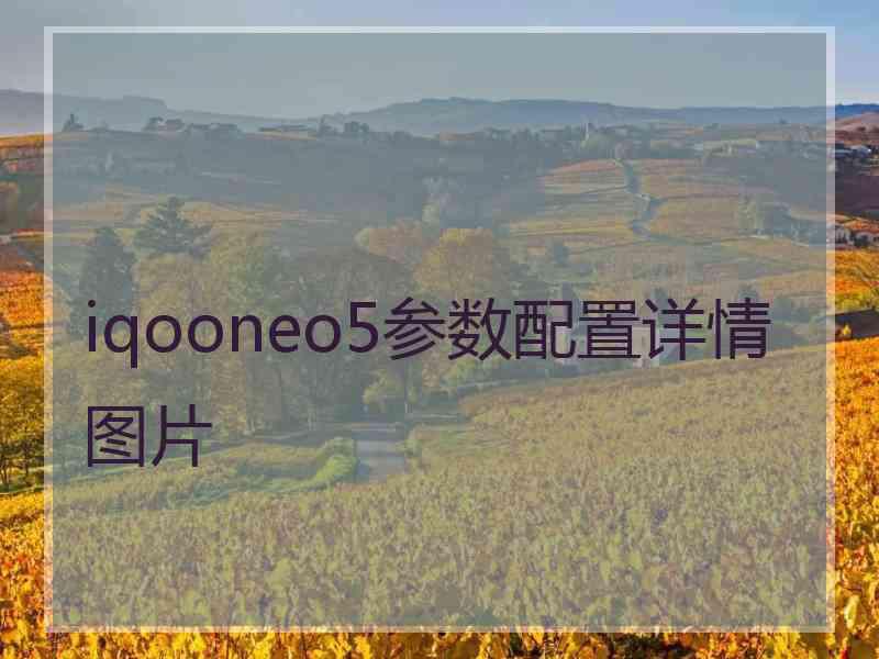 iqooneo5参数配置详情图片