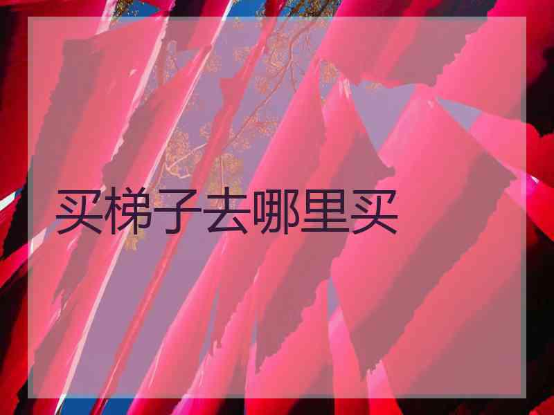 买梯子去哪里买